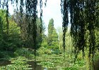 Photo 461  The painter Monet&#39;s once described himself as a gardener who paints.  Walking around this former home you can see where he got his inspiration from.  (Giverny, France)